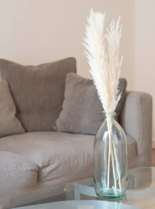 Spacieux T3 * Centre Ville * Sans Vis A Vis Aix-en-Provence Ngoại thất bức ảnh